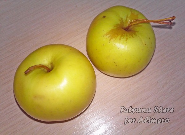 Салат со свёклой