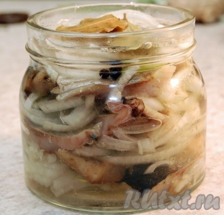 Маринованная сельдь