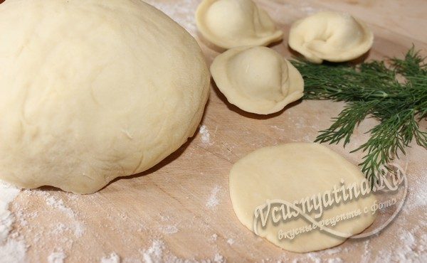 Ð»ÐµÐ¿Ð¸Ð¼ Ð¿ÐµÐ»ÑŒÐ¼ÐµÐ½Ð¸ Ð¸Ð· Ñ‚ÐµÑÑ‚Ð°
