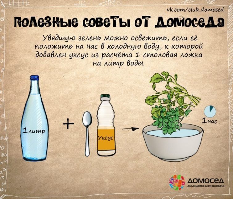 полезные советы от домоседа, полезные кулинарные советы