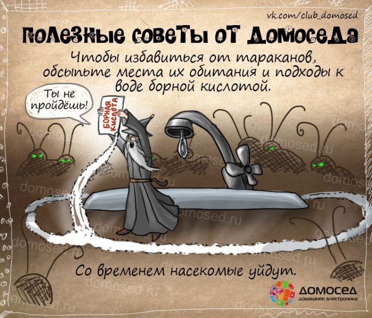 полезные советы от домоседа, полезные кулинарные советы
