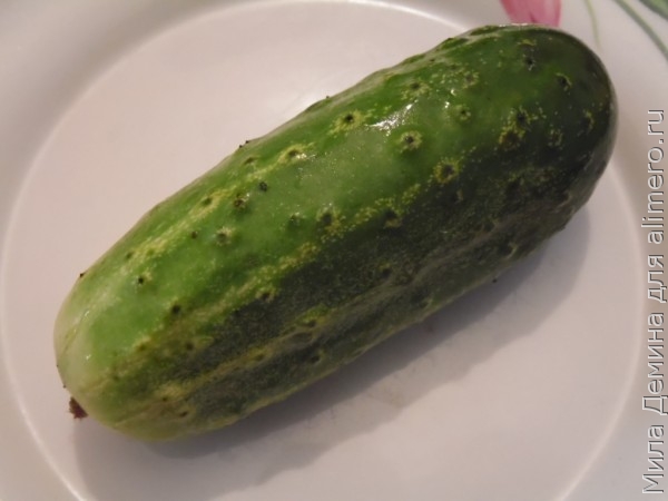Закуска