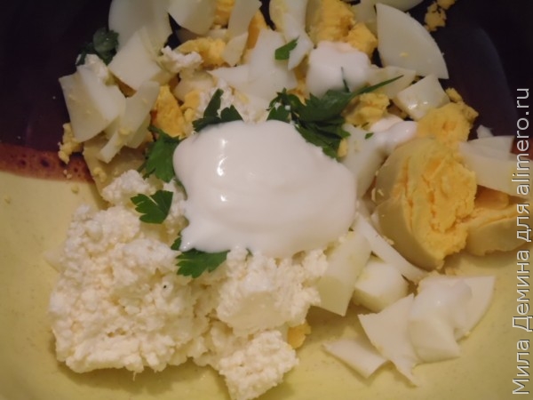 Закуска