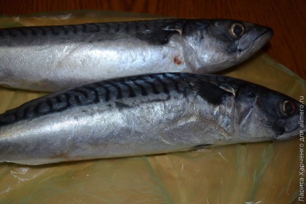 запеченная скумбрия