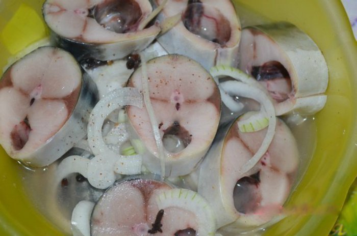 как замариновать скумбрию