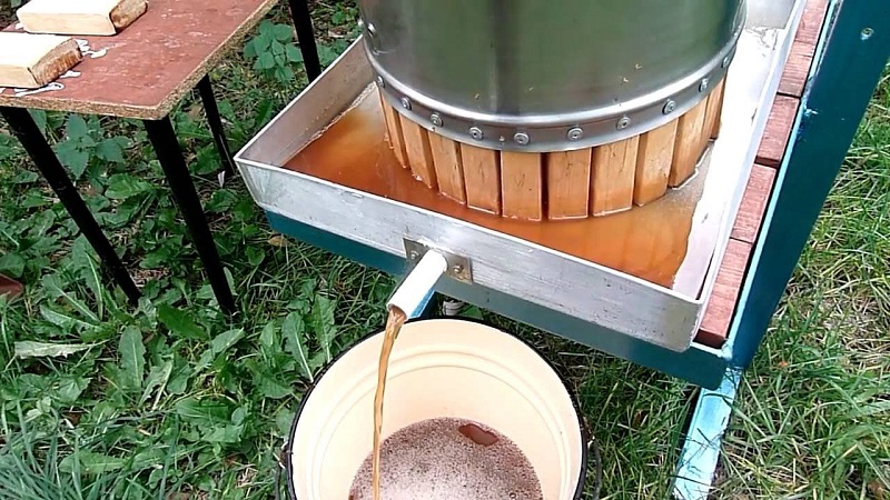 вкусное яблочное вино