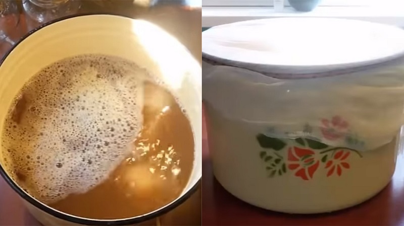 вино из яблок